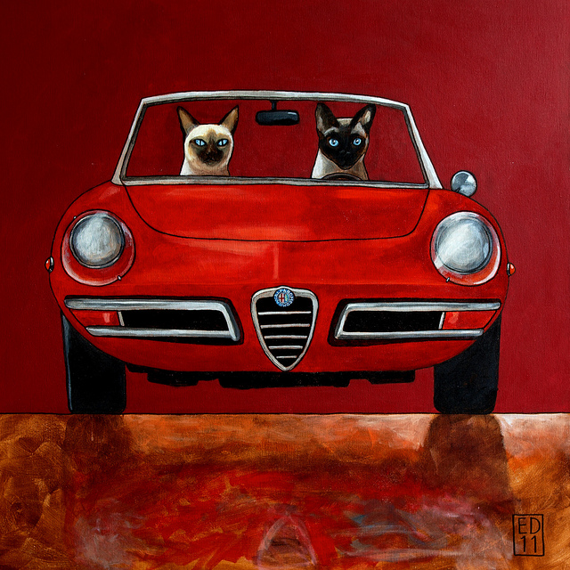 Alfa Romeo Spider 20 CAT